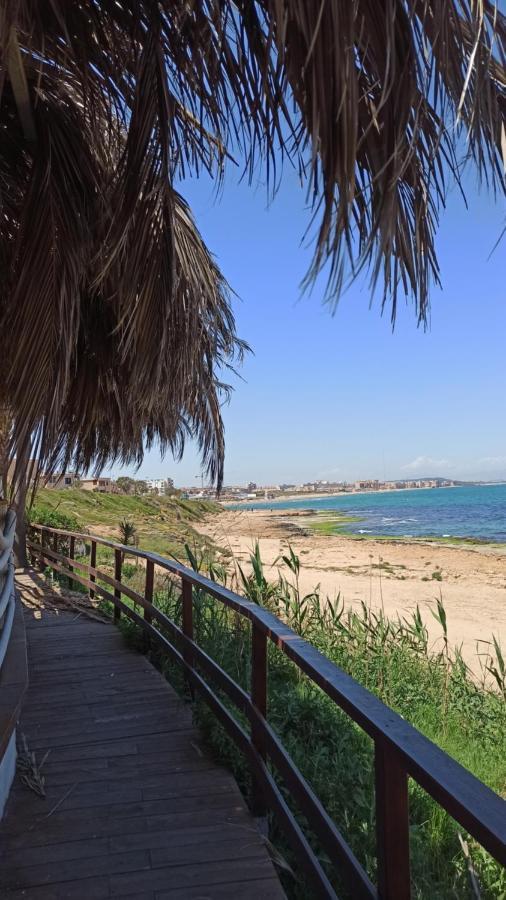Apartment Only 250M From The Beach Los Locos Torrevieja Zewnętrze zdjęcie