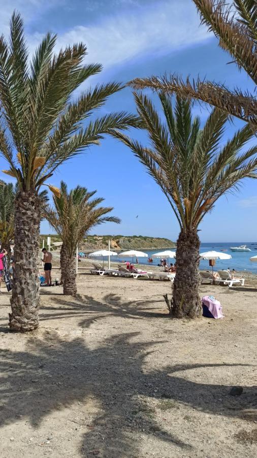 Apartment Only 250M From The Beach Los Locos Torrevieja Zewnętrze zdjęcie